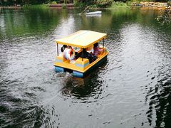 -晓港公园