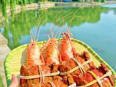 -蟹天蟹地农家菜·阳澄湖大闸蟹(浅水湾店)