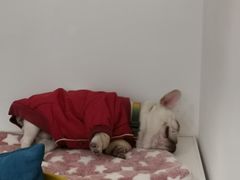 -GOOD好事咖啡(会展城店)