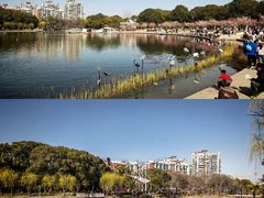 -新江湾城公园