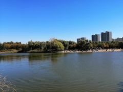 -大兴滨河森林公园