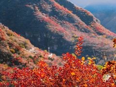 -周口店坡峰岭风景区