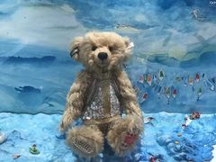 -济州岛泰迪熊博物馆