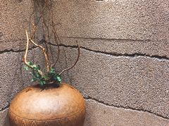 -小城粥道·海胆鲜虾粥(解放广场店)