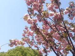 -范蠡湖公园