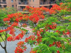 -北京师范大学(珠海校区)