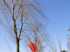 -杏花村文化旅游区