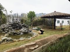 -杭州野生动物世界