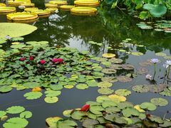 -国家植物园南园