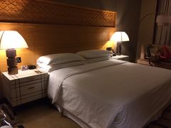 -西安赛瑞喜来登大酒店