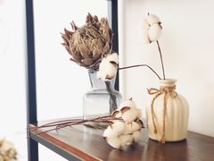 -HALF ORANGE 半个橙子