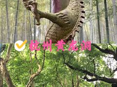 -杭州黄龙洞