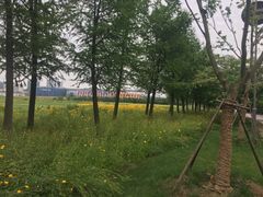 -尚贤河湿地