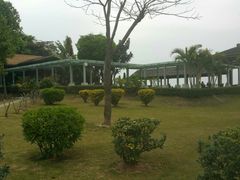 -大湾区中央湿地公园