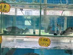 -祈胜邨•顺德鱼生•顺德菜(容桂店)