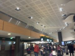 -米兰-马尔彭萨机场