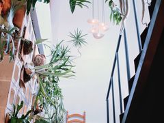 -自由生长植物工作室(深港花卉中心店)