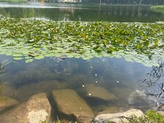 -吉林大学(前卫南区)