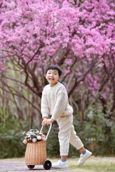 -西城映画儿童摄影(芝麻街店)