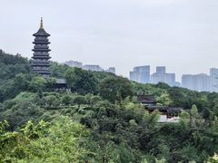 -重庆园博园