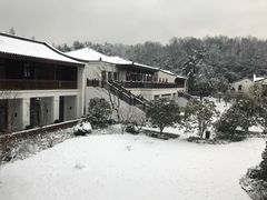 -青花餐厅(雅谷泉山庄酒店)