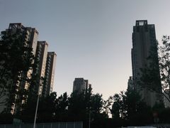 -脉冲品质汽美·贴膜(闵行店)