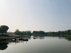 -尚贤河湿地