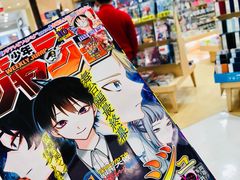 -台场海滨公园船码头