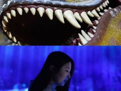 -中国西峡恐龙遗迹园