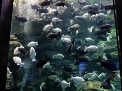 -成都浩海立方海洋公园