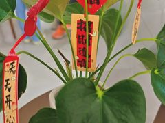 -登特口腔医院(鼓楼东街口店)