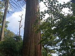 -东天目山风景区