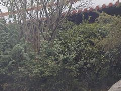 -麦积山温泉