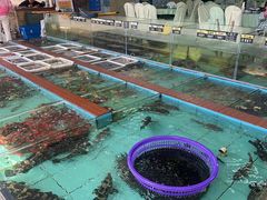 -景好海鲜餐厅(大鹏必选旅游店)