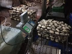 -岳各庄批发市场(西四环中路店)