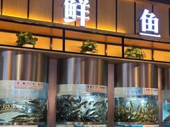 -老船舫·现做活鲜鱼馆(东郊记忆店)