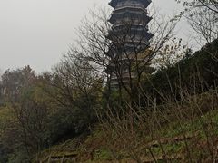 -重庆园博园