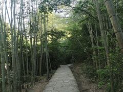 -黄山翡翠谷景区