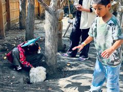 -水上乐园·欢乐世界