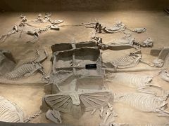 -洛阳周王城天子驾六博物馆