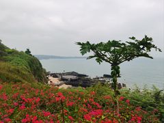-涠洲岛火山国家地质公园