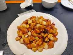 -紫光园·烤鸭·北京菜(团结湖店)