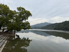 -新安江山水画廊风景区