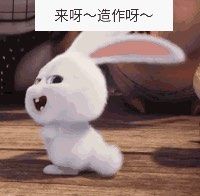 -徐记海鲜·宴会(大唐西市|丰庆店)
