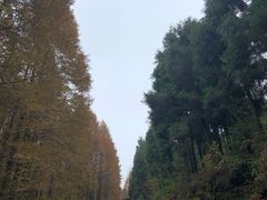 -山王坪喀斯特国家生态公园