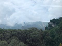 -牛背梁国家森林公园