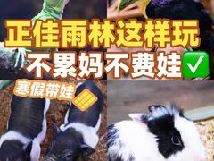 -正佳雨林生态植物园