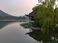 -西湖外事游船(花港观鱼码头)