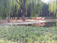 -石家庄市动物园