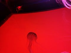 -沈阳海洋探索中心